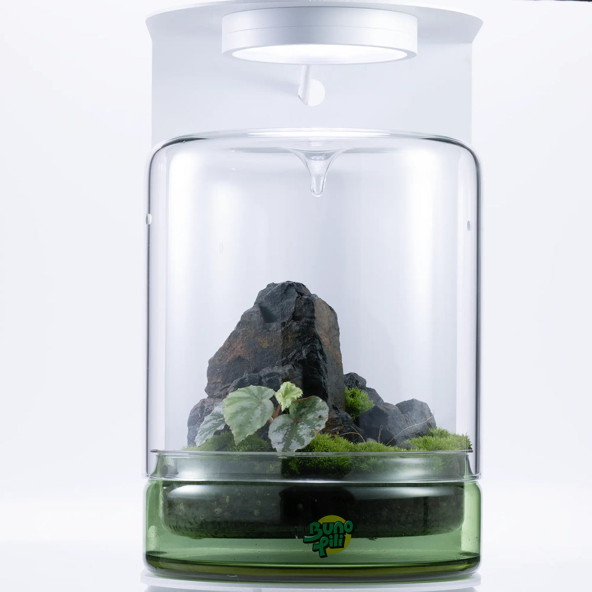 Bunopili Forest Capsule A minimal terrarium jar with smart lighting system – Magnetic Light Terrarium Kit Bunopili