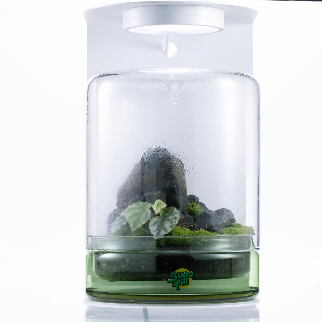 Bunopili Forest Capsule A minimal terrarium jar with smart lighting system – Magnetic Light Terrarium Kit Bunopili
