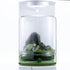 Bunopili Forest Capsule A minimal terrarium jar with smart lighting system – Magnetic Light Terrarium Kit Bunopili