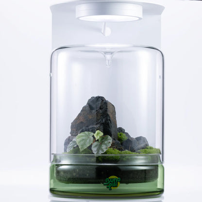 Bunopili Forest Capsule A minimal terrarium jar with smart lighting system – Magnetic Light Terrarium Kit Bunopili