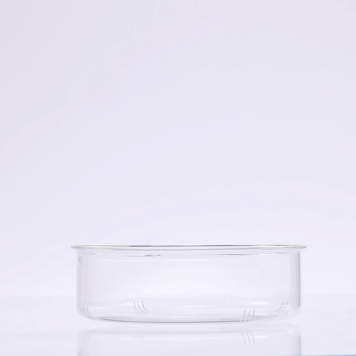 Bunopili Forest Capsule A minimal terrarium jar with smart lighting system – Magnetic Light Terrarium Kit Bunopili
