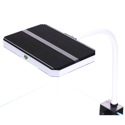 Bunopili GM 22 RGBW LED Light Bunopili