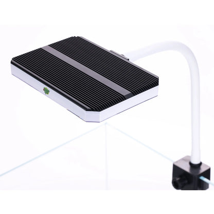 Bunopili GM 22 RGBW LED Light Bunopili